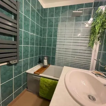 Daire 2 Etoiles 6-8 Pers Piau Engaly L Ours Moudang Ii Pied Pistes Aragnouet